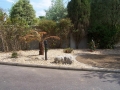 Landscaping - 002.jpg