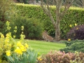 Landscaping - 005.jpg