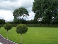 Landscaping - 006.jpg