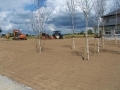 Landscaping - 011.jpg