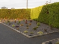 Landscaping - 016.jpg