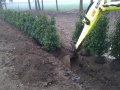 Landscaping - 021.jpg