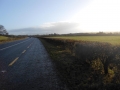 Hedge Cutting and Tree Care 02.jpg
