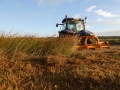 Hedge Cutting and Tree Care 03.jpg