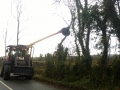 Hedge Cutting and Tree Care 04.jpg