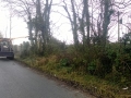 Hedge Cutting and Tree Care 05.jpg