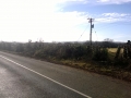 Hedge Cutting and Tree Care 07.jpg