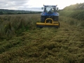 Hedge Cutting and Tree Care 15.jpg