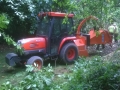 Hedge Cutting and Tree Care Slide 3.jpg