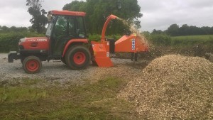 Hedge Cutting and Tree Care 09
